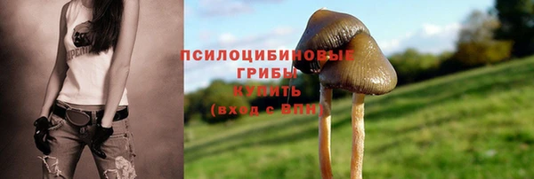 прущие крисы Ростов