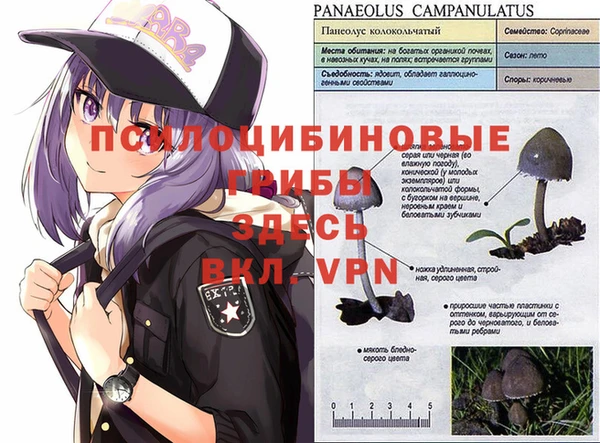 марихуана Абаза
