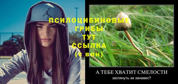 марихуана Абаза